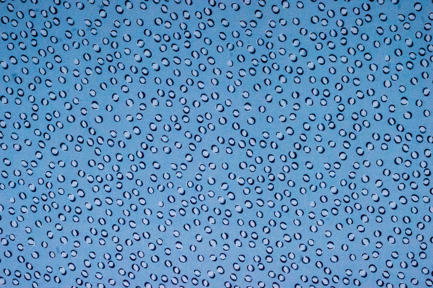 Imported Georgette Dotted White on Skyblue 58" Fabric